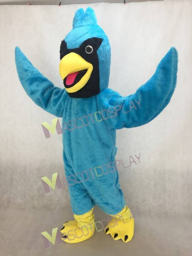 plush blue jay