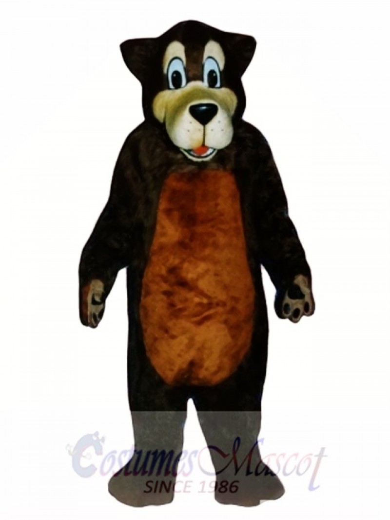 Cute Brother Bear Mascot Costume