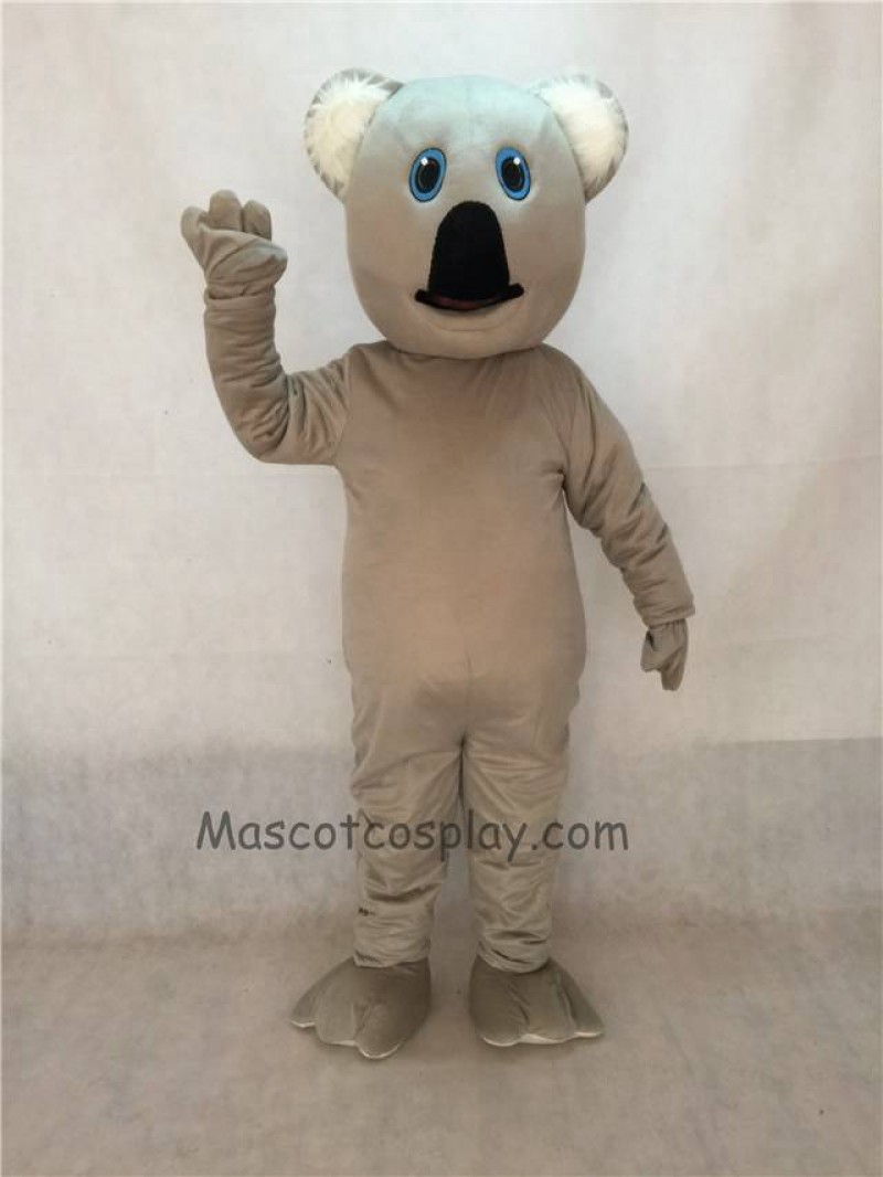 Cute New Koala Bear Mascot Costume