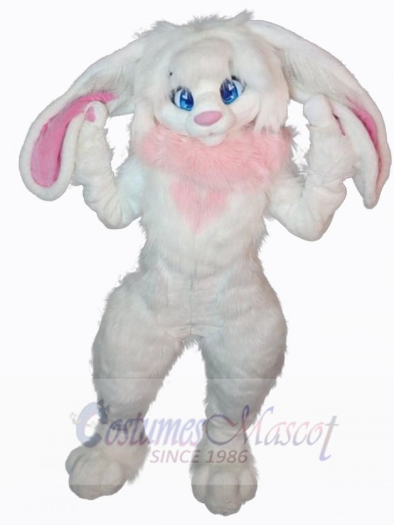 Easter Bunny Rabbit mascot costume