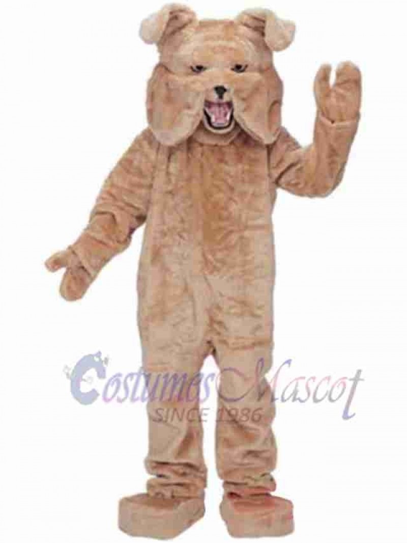 Shar Pei Mascot Costume