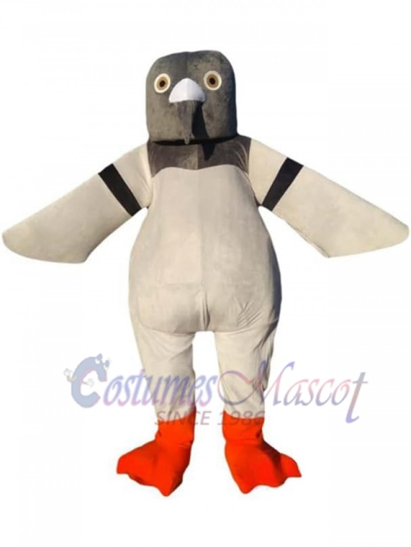 Pigeon Mascot Adult Costume