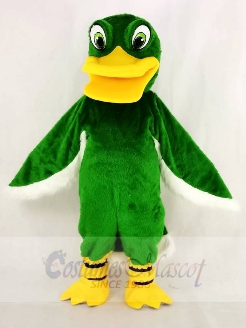 Funny Green Duck Mascot Costume School