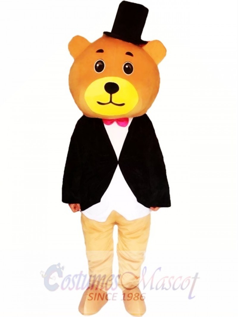 Cartoon Bear Mascot Costumes  