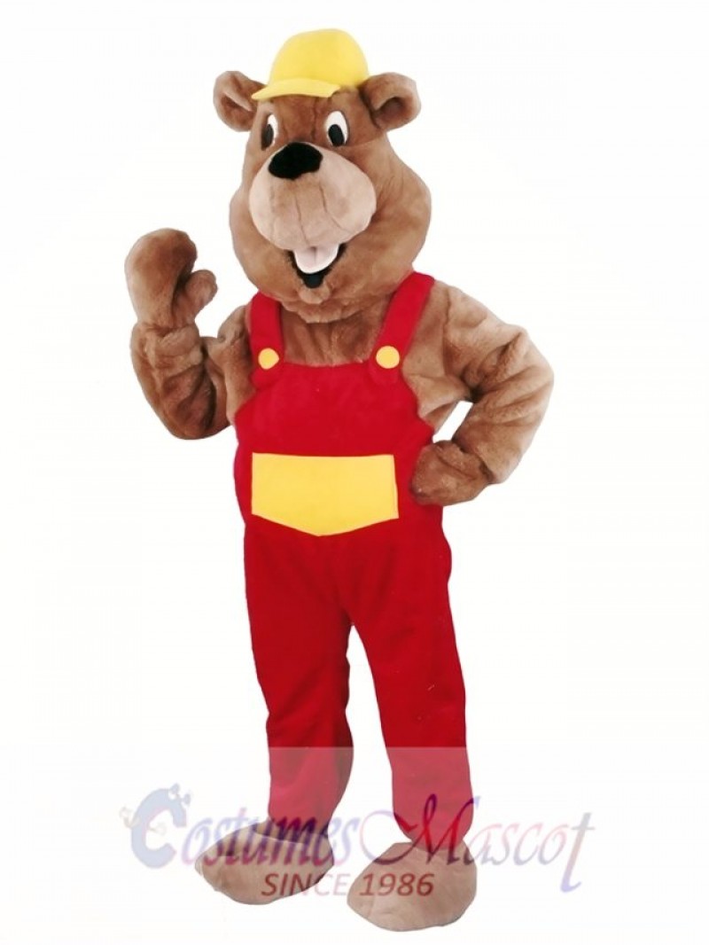 Beaver Mascot Walking Act Promotion Costume