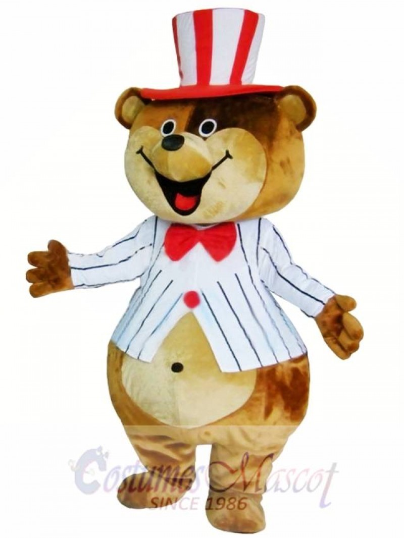 Huge Teddy Mascot Costumes Brown Bear Costume