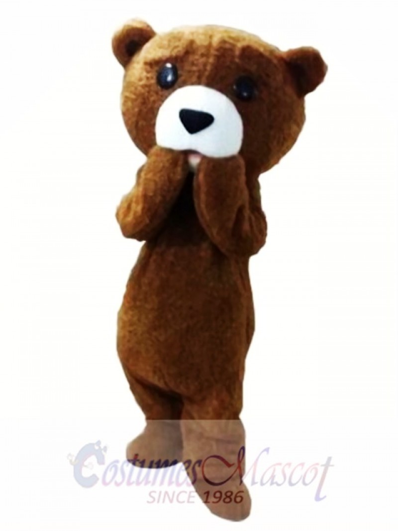 Fur Teddy Bear Mascot Costume