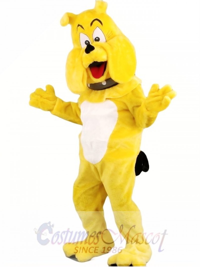 Cartoon Bulldog Mascot Costume