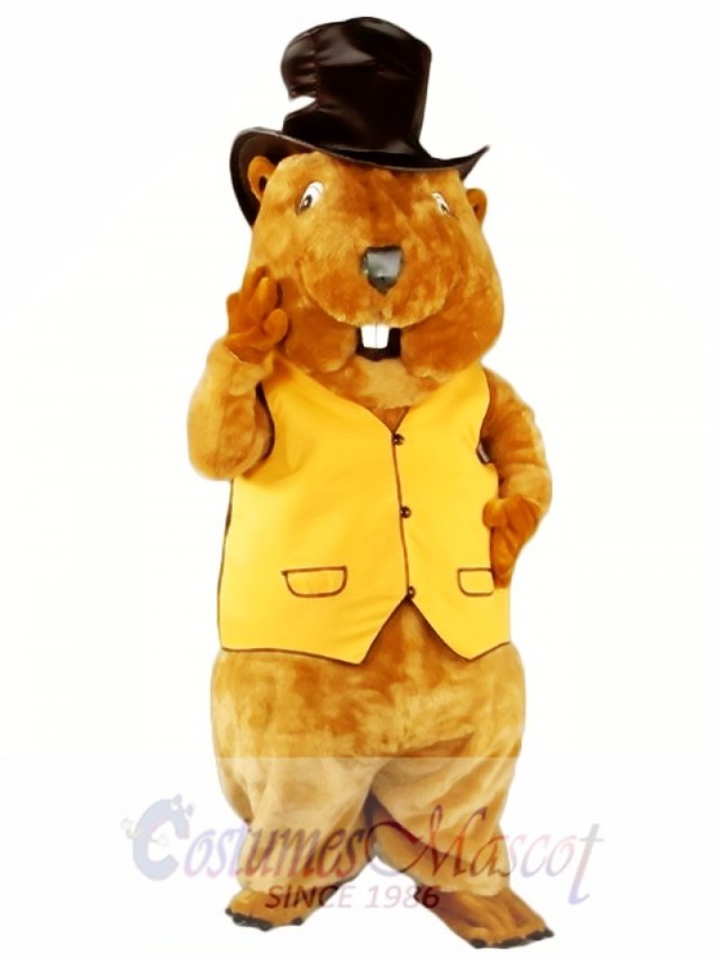 Mr. Beaver Mascot Costume