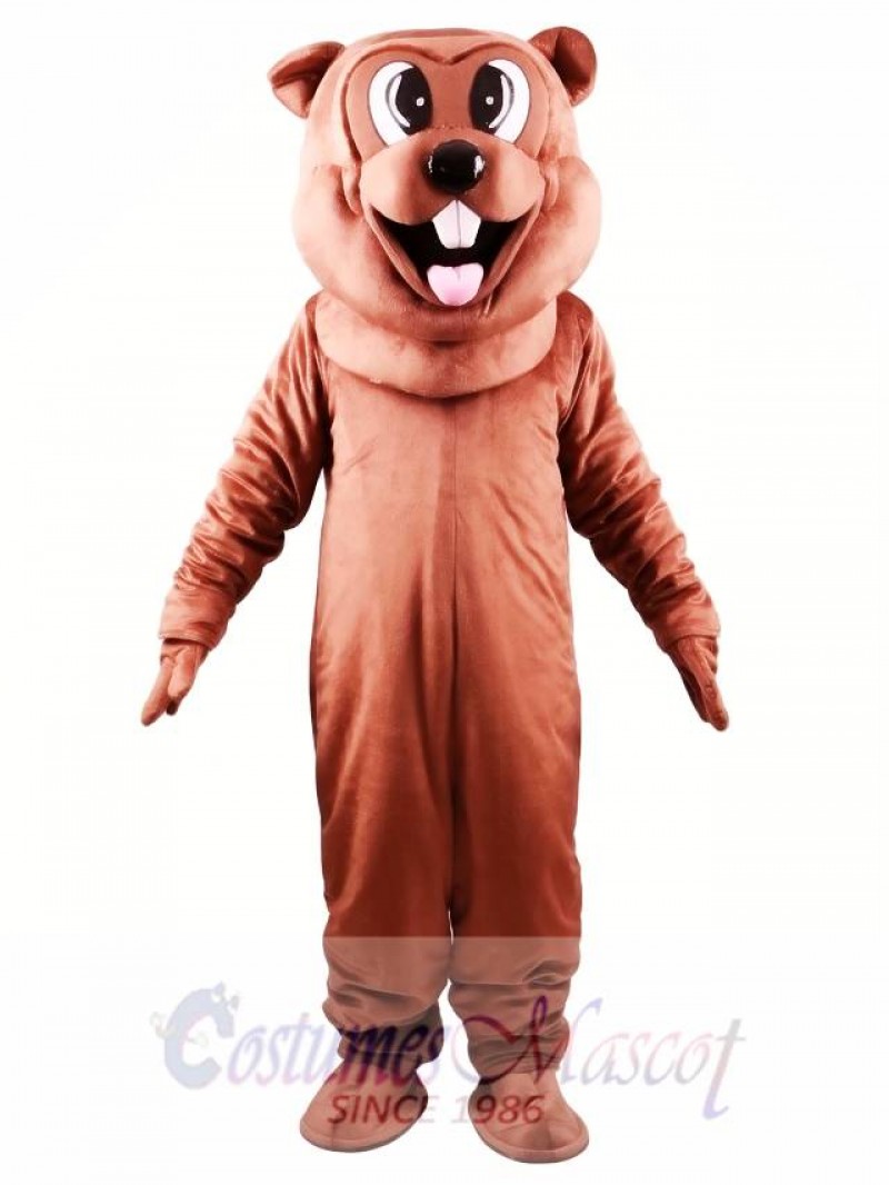 Beaver Mascot Costume