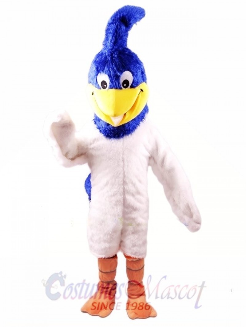 Roadrunner Mascot Costume