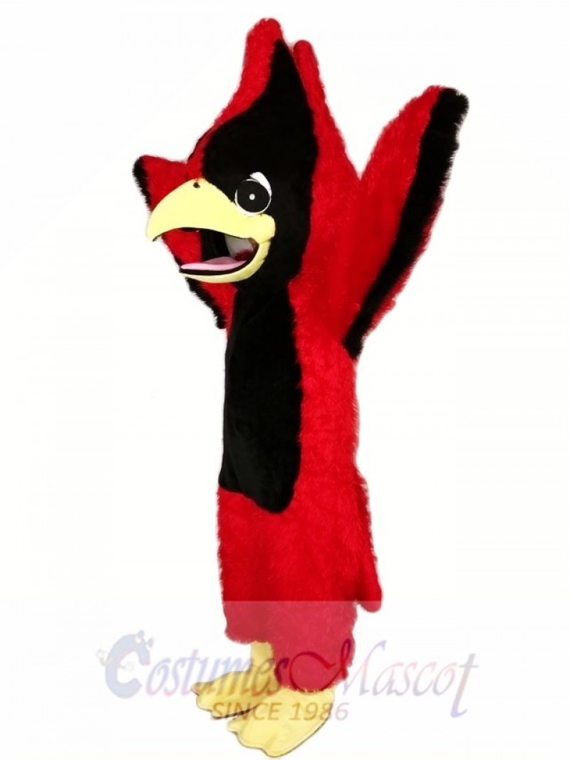 Big Red Cardinal Mascot Costume