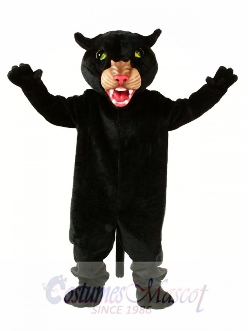 Black Panther Mascot Costume