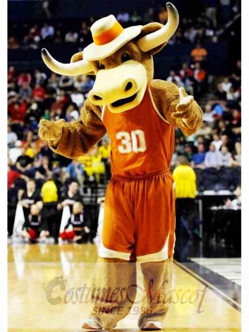 Texas Longhorns Hook'em Sport Bull Mascot Costume