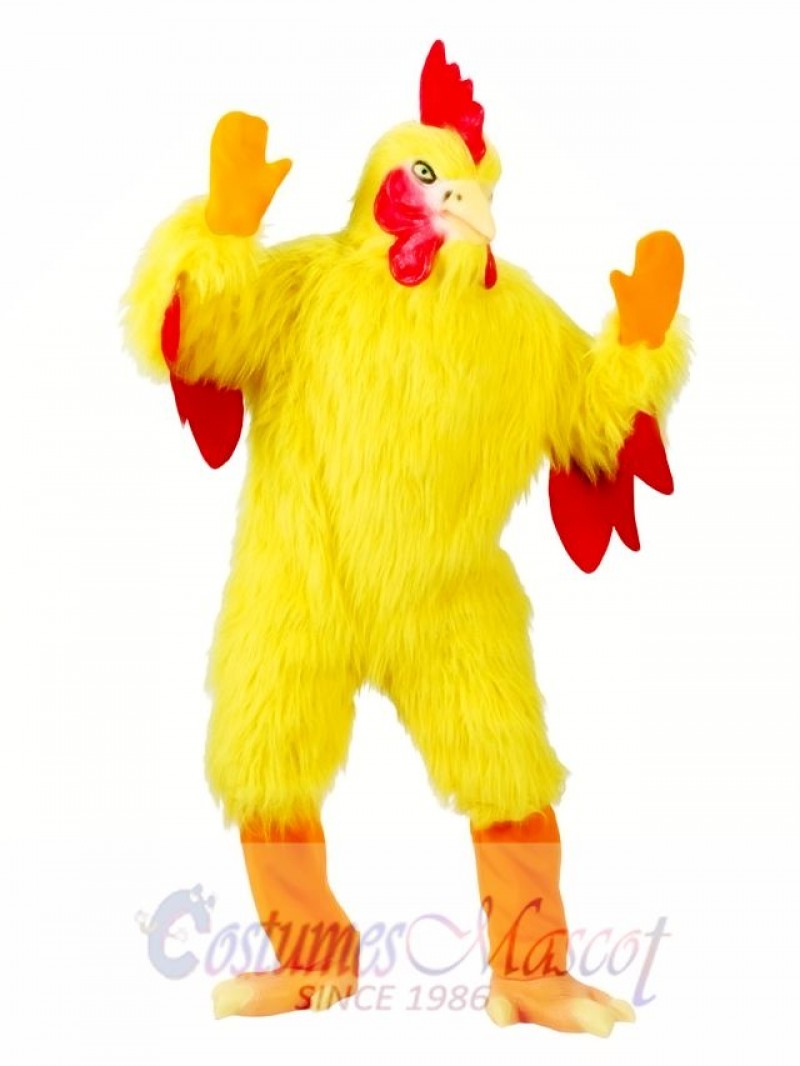 Funny Chicken Adult Mascot Costume