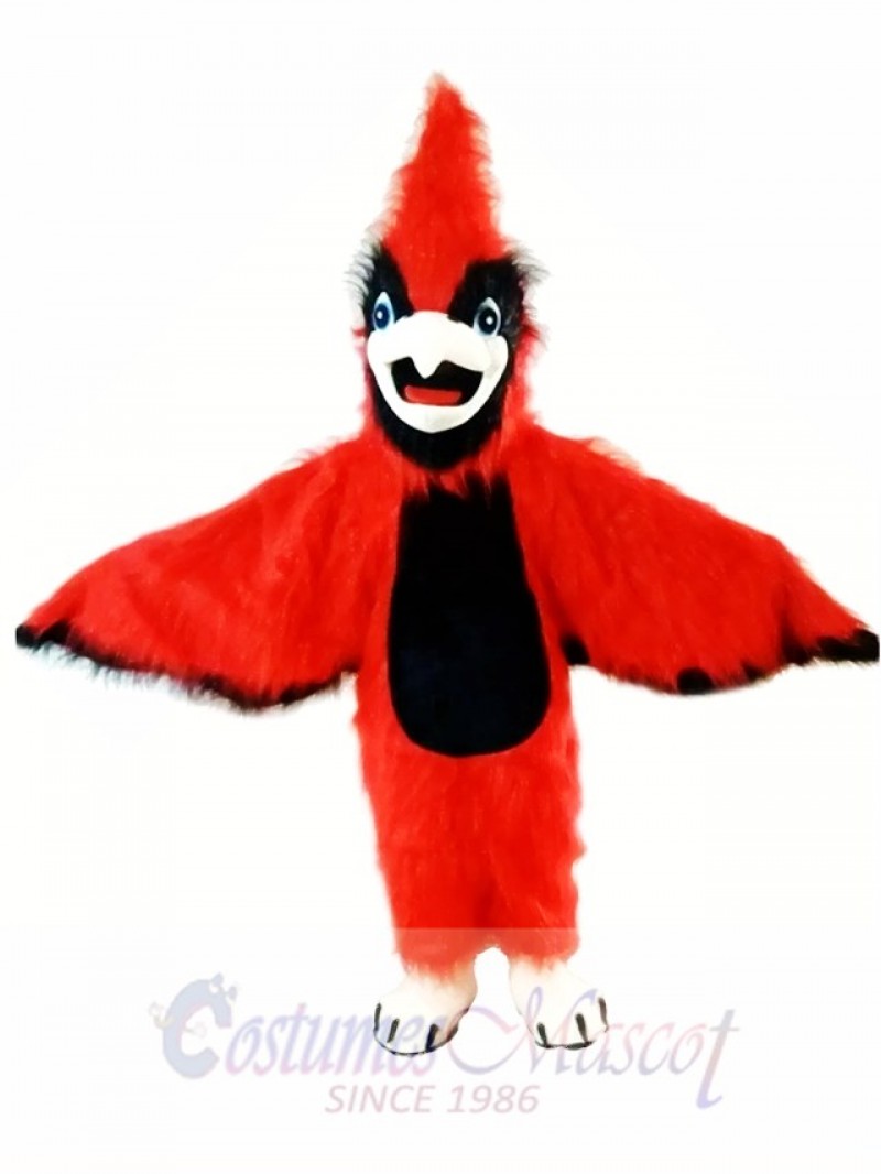 New Big Red Cardinal Mascot Costume