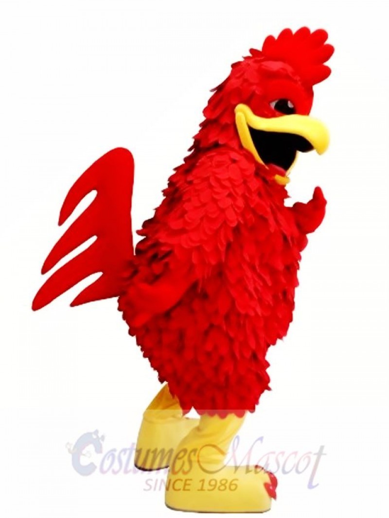 Red Chicken Mascot Costume