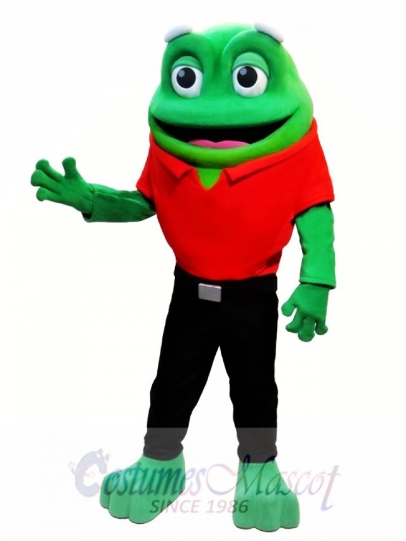 Cute Frog Animal Mascot Costume