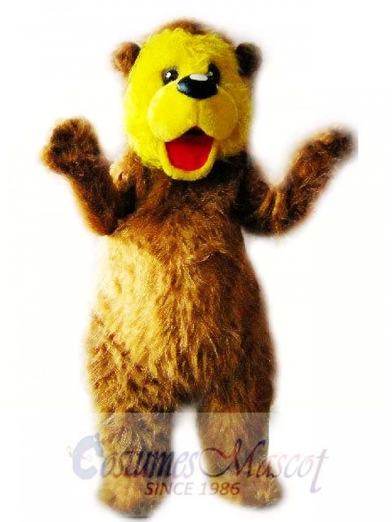 Bear Mascot Costume Adult Costume