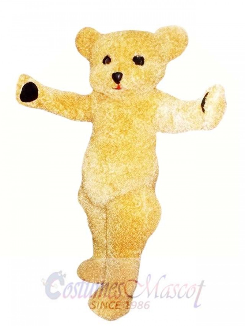 Teddy Bear Mascot Costume Adult Costume