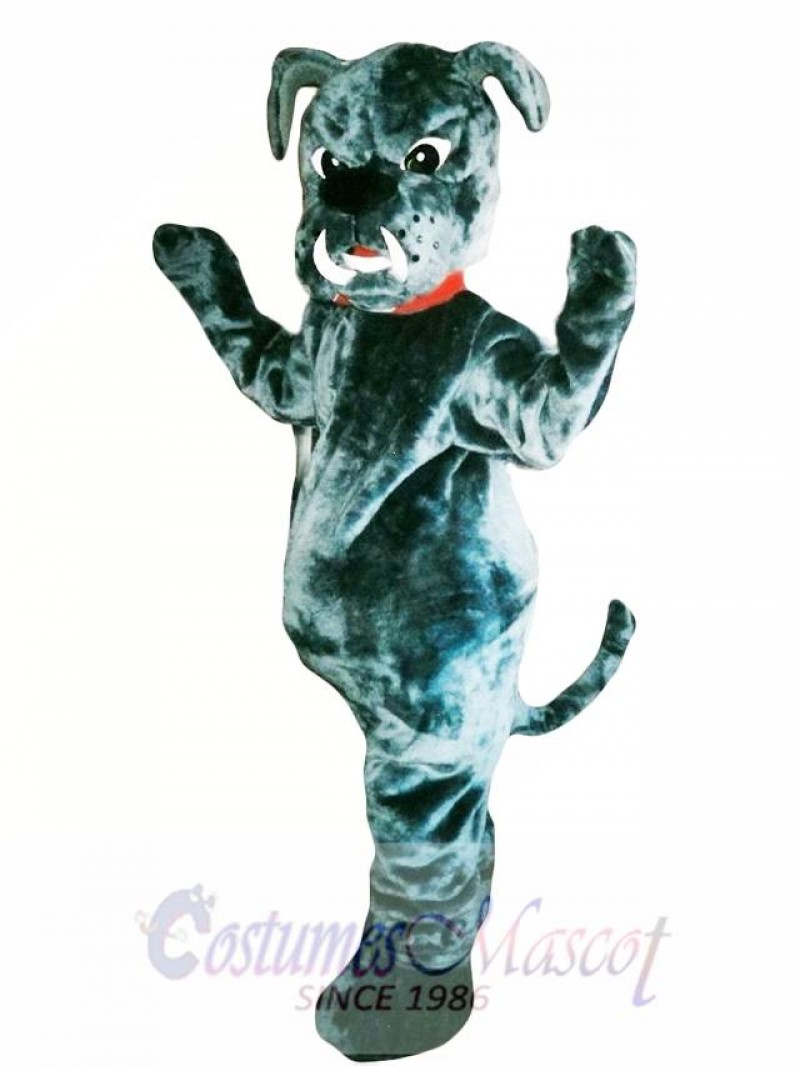 Bull Dog Mascot Costume Adult Costume