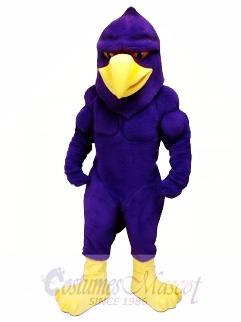 Power Hawk Mascot Costume