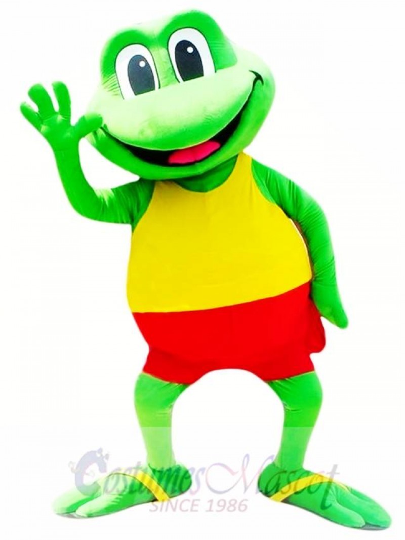 Cute Frog Mascot Costume