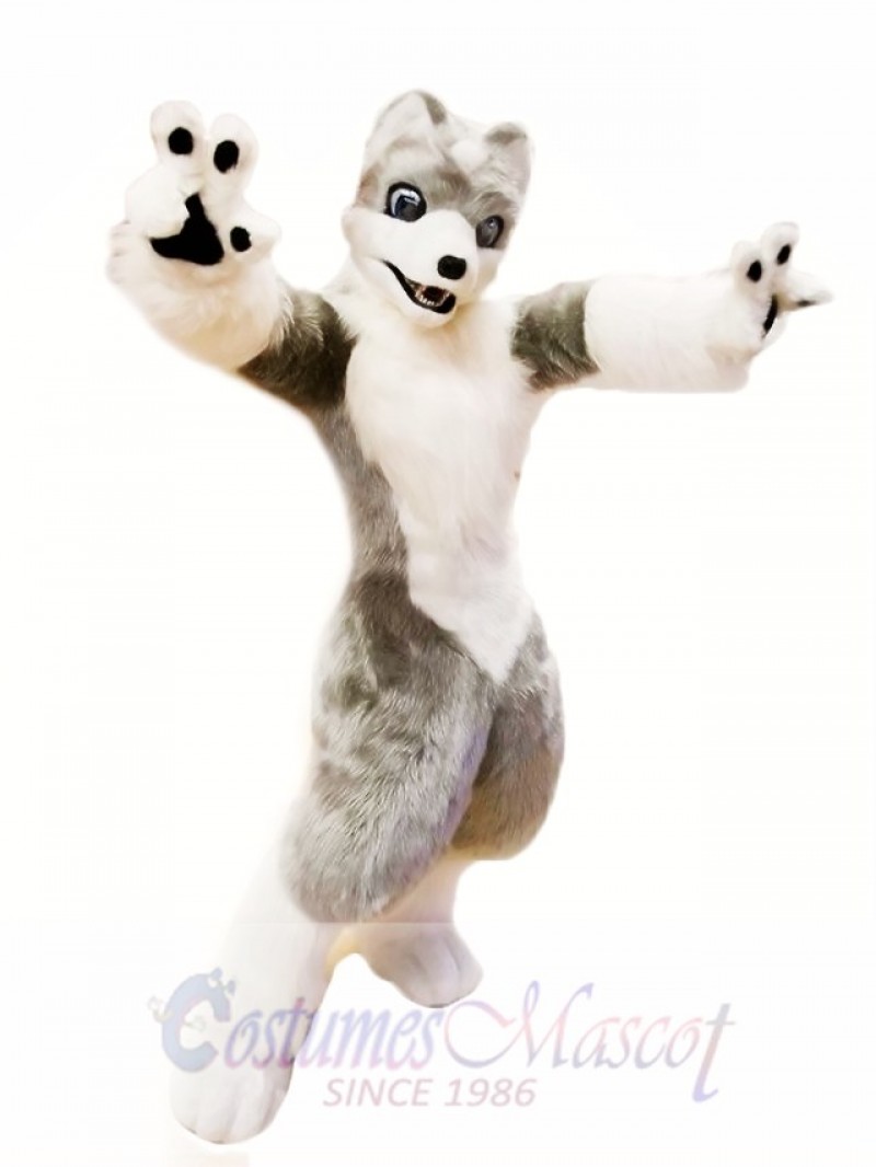 Cute White Grey Wolf Mascot Costume