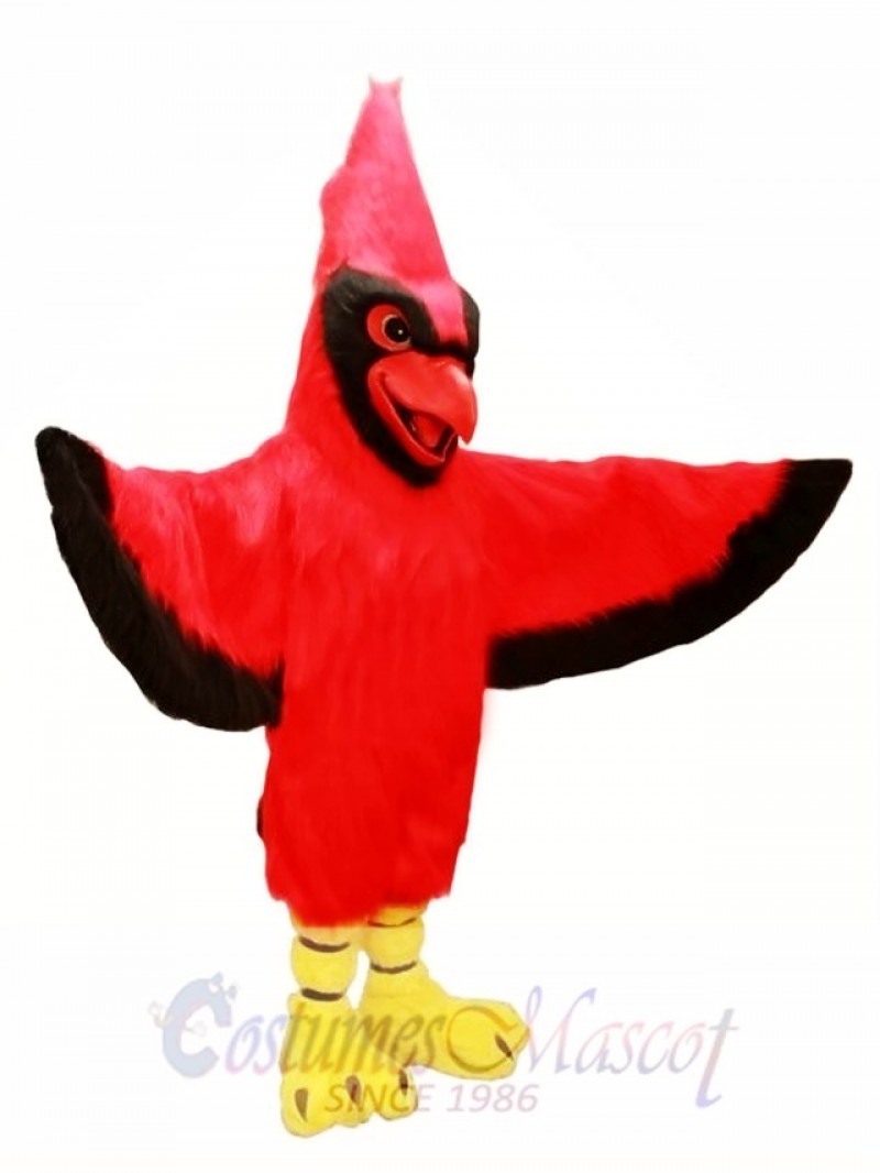 All Red Cardinal Mascot Costume