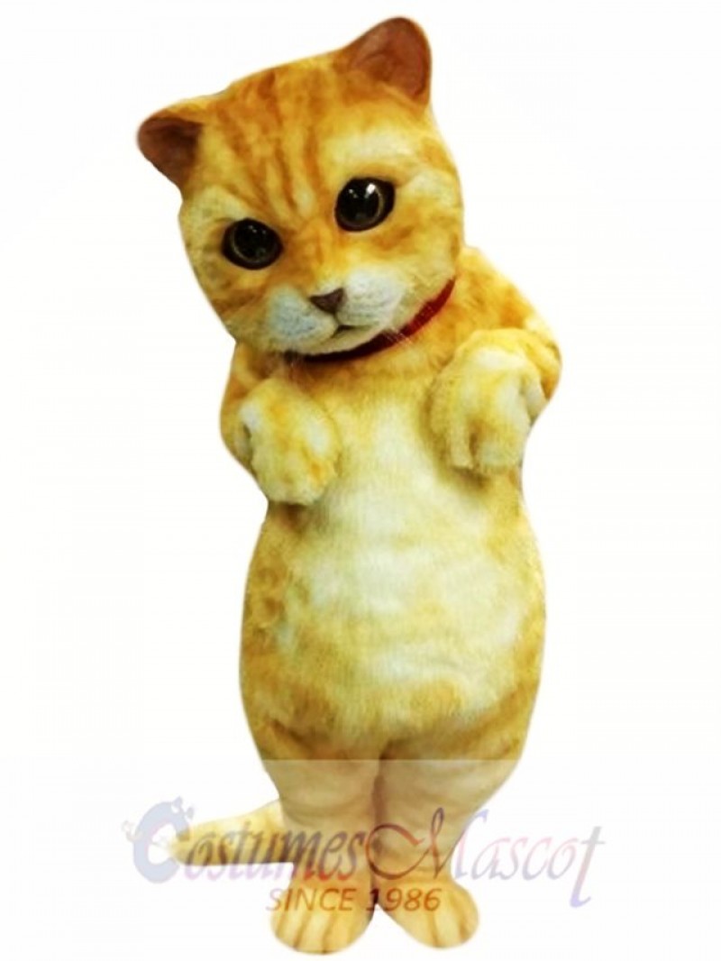 Cute Animal Cat Mascot Costume