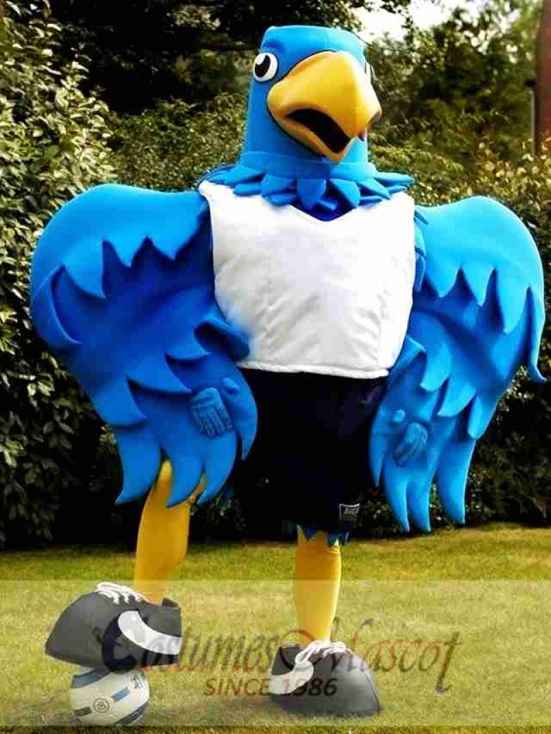 Big Blue Bird Mascot Costume