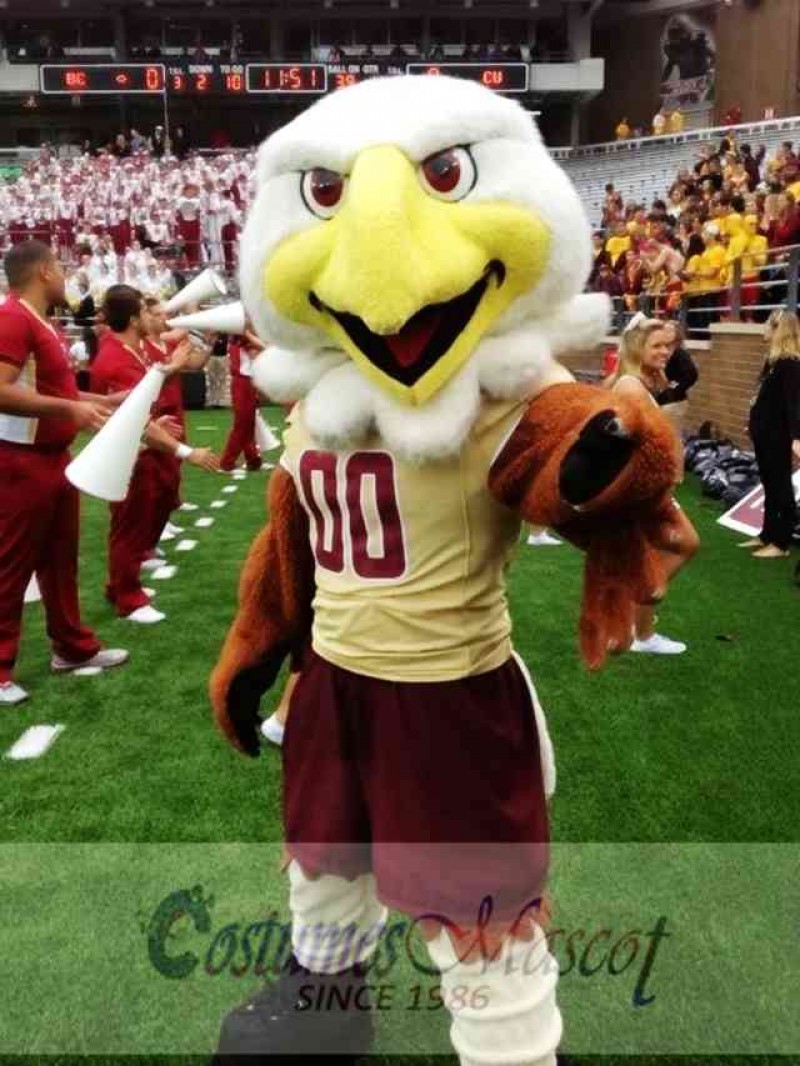 College Eagles Mascot Costume