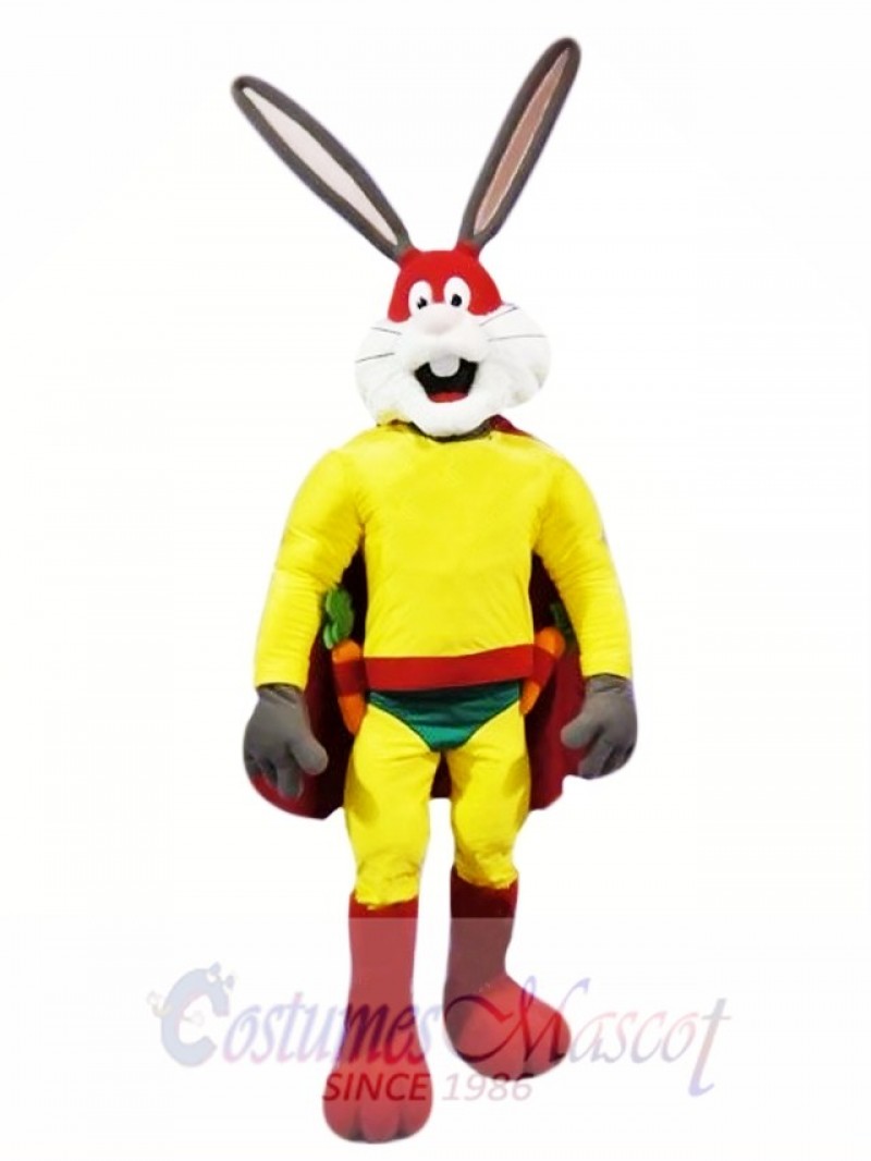 Superhero Rabbit Mascot Costume