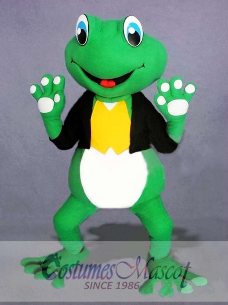 Cute Frog Mascot Costume  