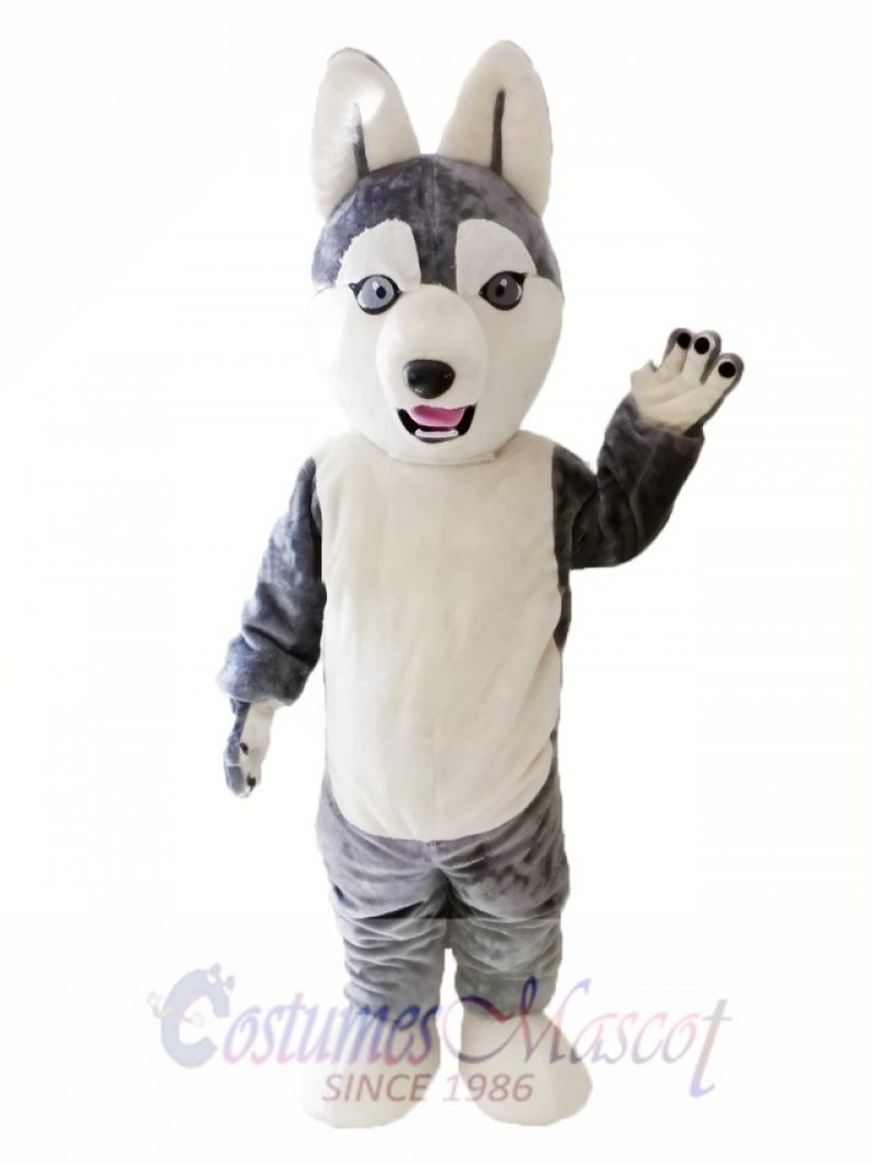 Animal Dog Siberian Husky Mascot Costume for Adult