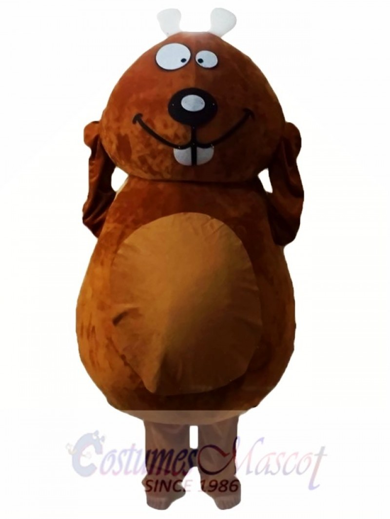 Brown Beaver Mascot Costumes 