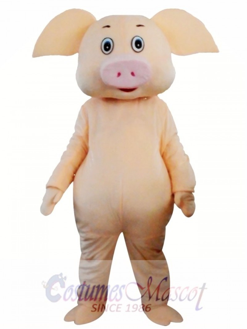 Cartoon Pig Mascot Costumes  