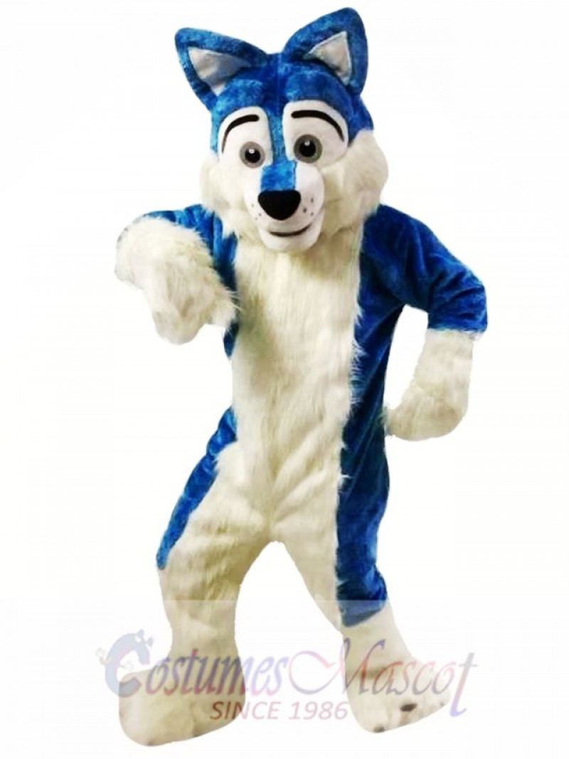 Blue Wolf Fursuit Mascot Costumes  