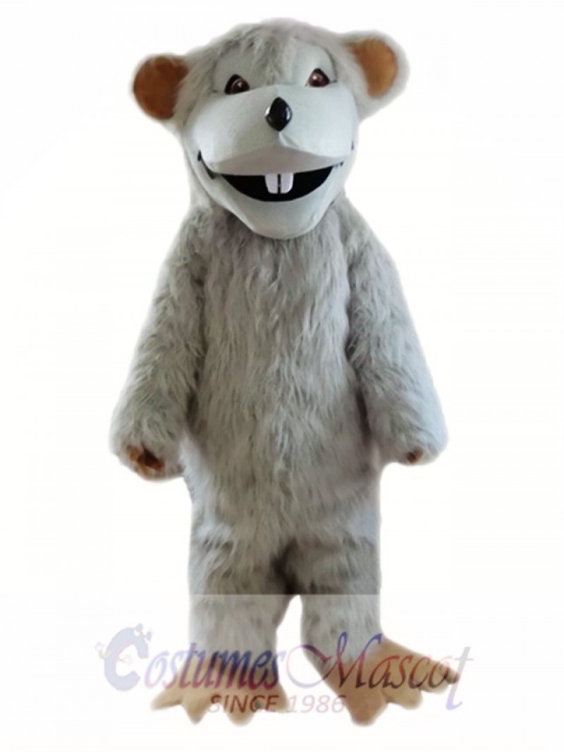 Gray Mouse Mascot Costumes  