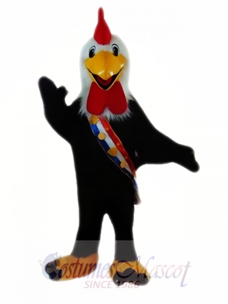 Black Cock Mascot Costumes 