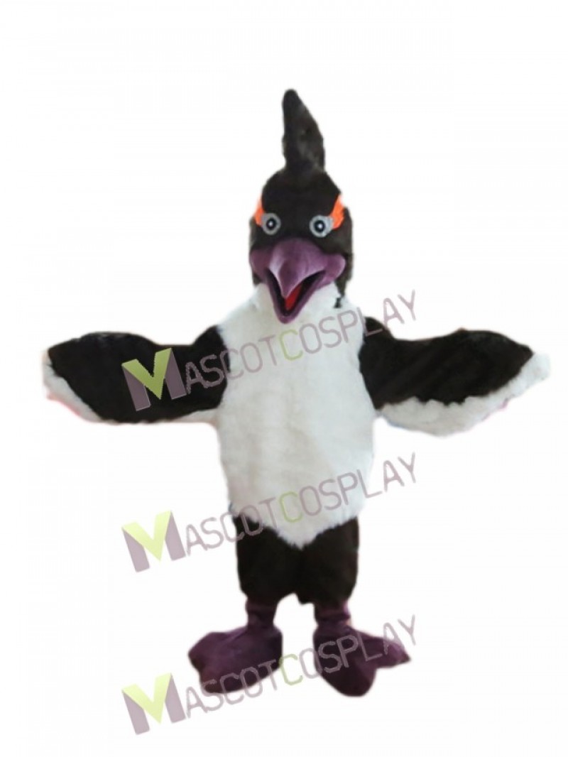 New Woody Woodpecker Black Bird Mascot Costume