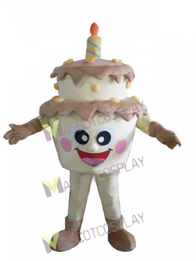 Two-Layer Birthday Cake Mascot Costume