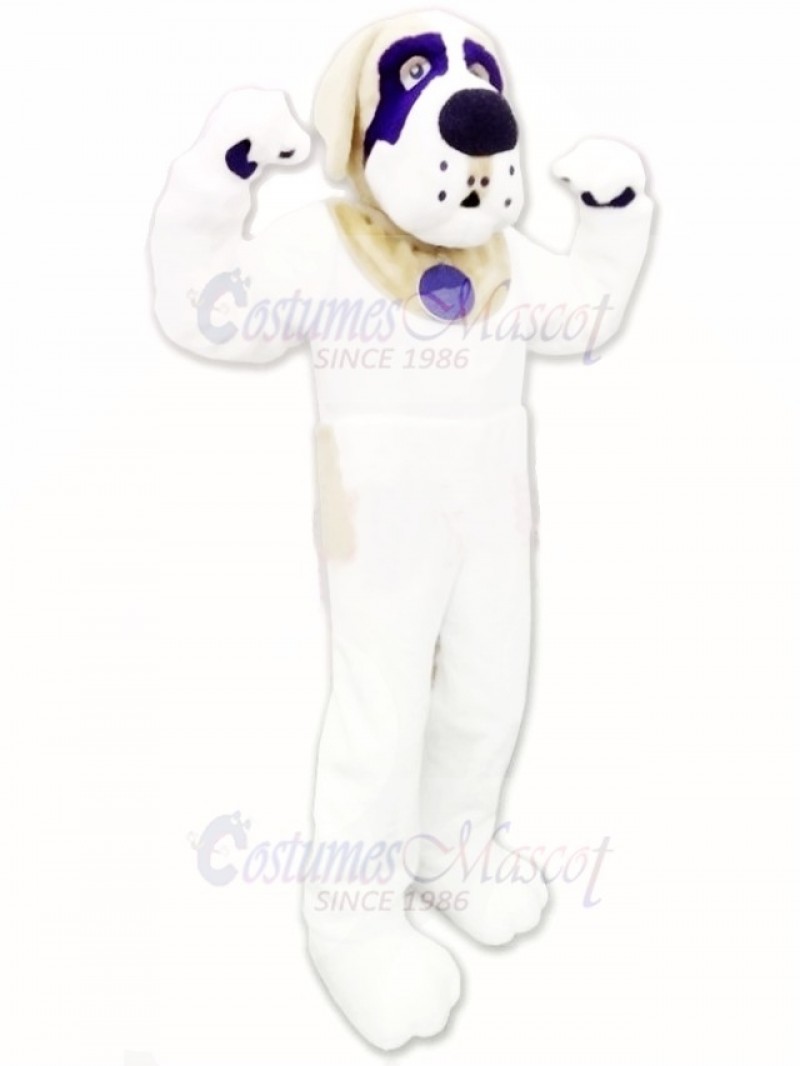 Lovely St. Bernard Dog Mascot Costume 
