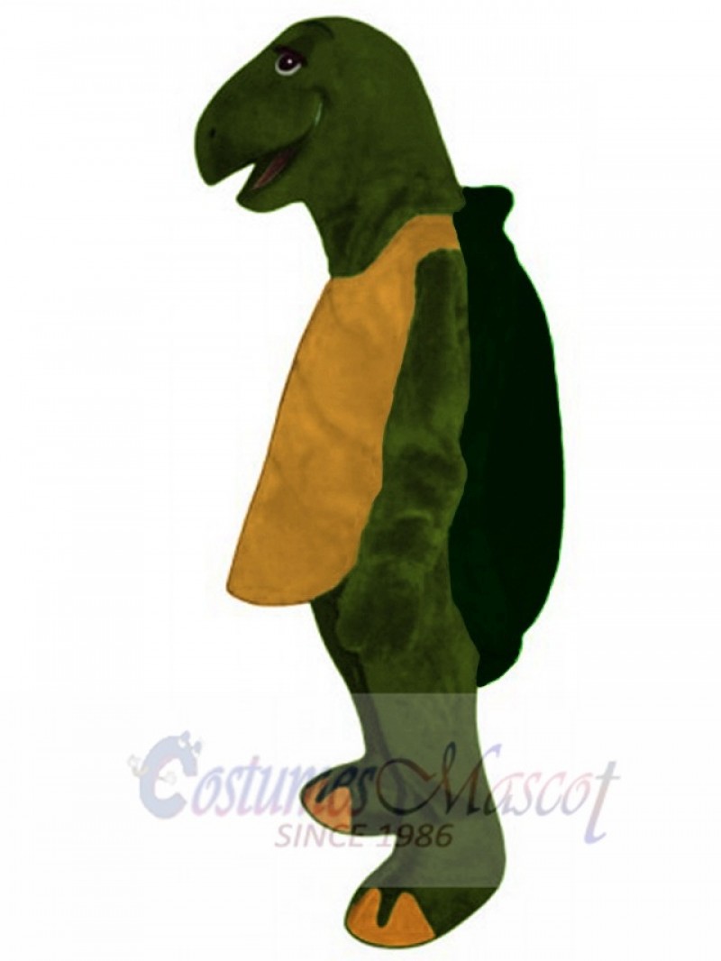 Tortoise mascot costume