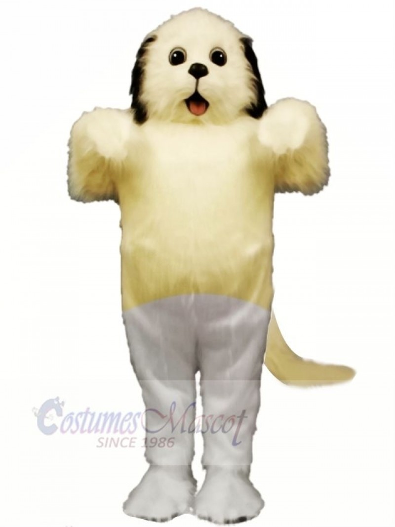 Cute Shaggy Maggy Dog with Grey Mascot Costume School