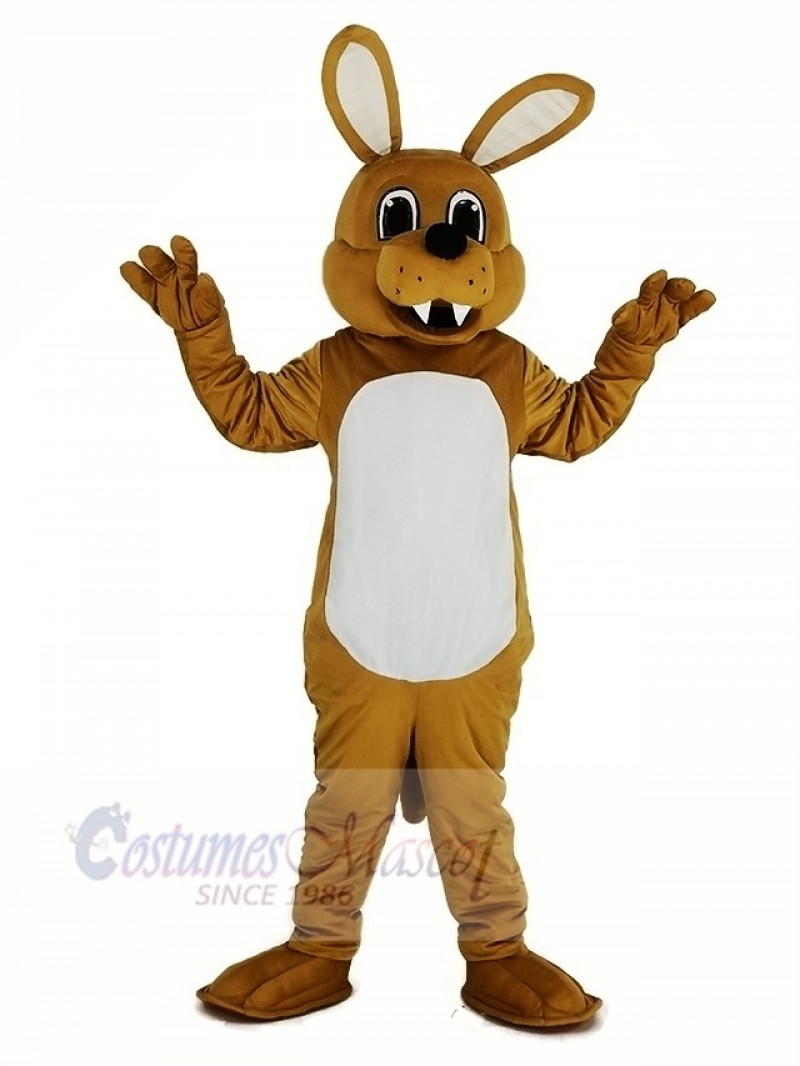 Kody Koyote Coyote Wolf Mascot Costume Animal	