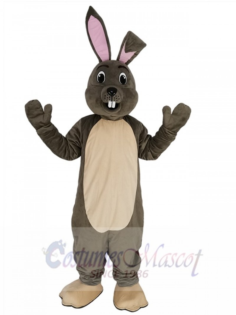 Easter Bunny mascot costume