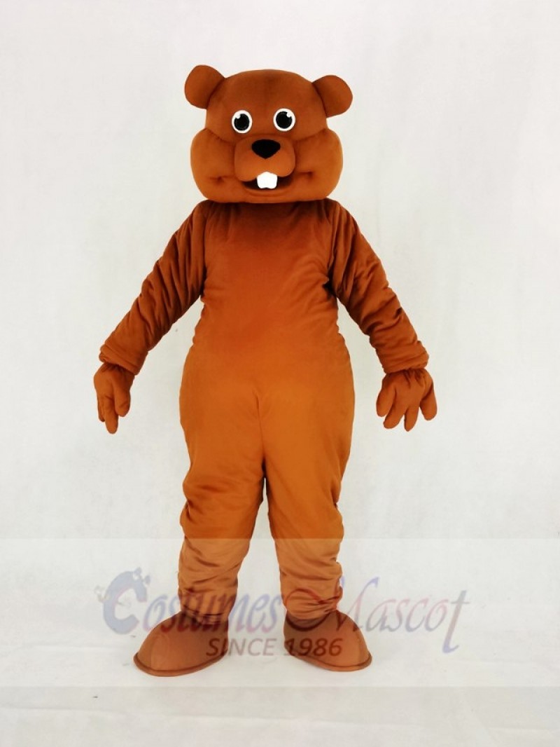 Cute Brown Nutty Squirrel Mascot Costume College	
