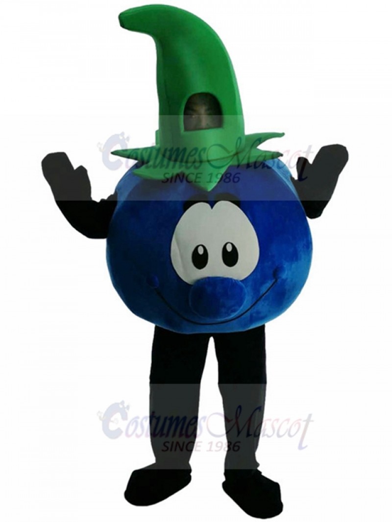 Blueberry mascot costume