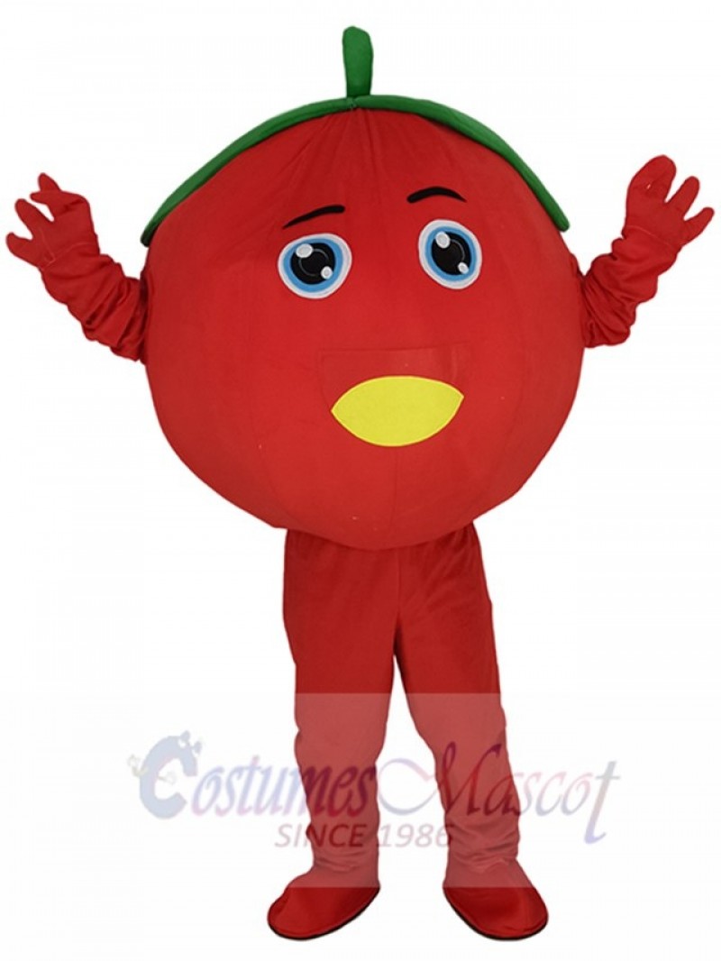 Tomato mascot costume